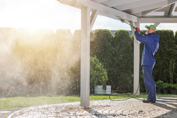 Solar Panel Cleaning in Chico, TX
